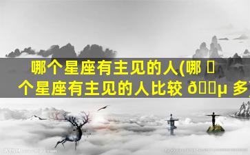 哪个星座有主见的人(哪 ☘ 个星座有主见的人比较 🐵 多)